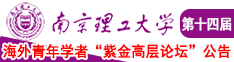 欧美大吊干美女南京理工大学第十四届海外青年学者紫金论坛诚邀海内外英才！